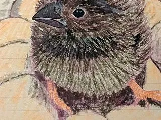 ADHDでもいいじゃないか