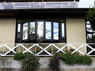 2026 コバノランタナが咲き揃い