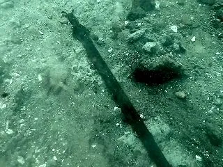 3300年前の剣が湖の底から、今も“切れ…