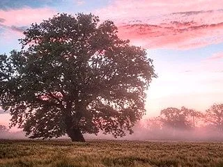 「リセット」が、かかった後は「次の段階」…
