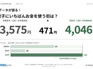 餃子の購入額ランキング｜宇都宮・浜松・宮…