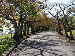 松本市城山公園 1