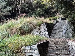 胴長短足の為、、、