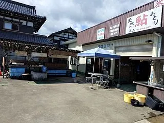 九頭竜川3連荘
