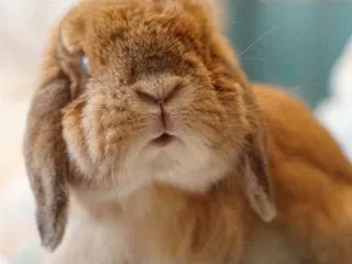 １日のはじまり