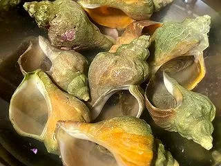 New Open! たこ一さんの「活つぶ…