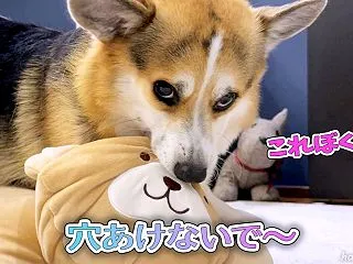 穴あけないで〜