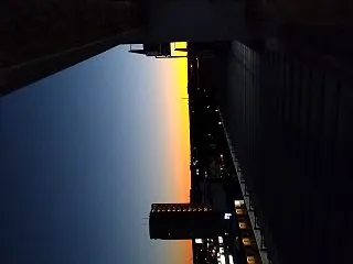 歯が増えた
