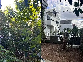 【三鷹市】暗かったお庭が明るく劇的変身！…