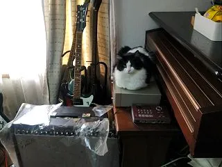 秋から一気に冬へ?