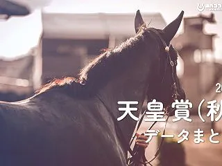 【GⅠ】天皇賞（秋）2026 過去データ…