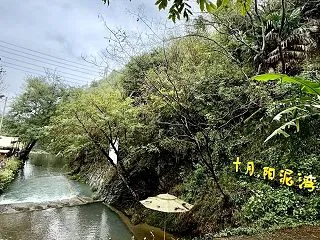 【海外旅行】浙江省湖州市の安吉県
