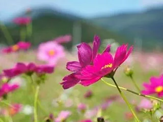 雨に濡れて