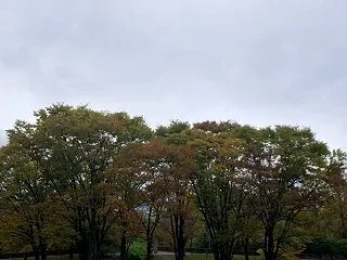 里帰り出産、なくなりそうです