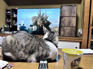 ゴジラとソラ