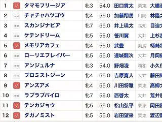 2026 JBC 競争 金沢競馬場 11…