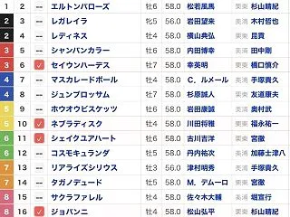 2026 天皇賞 秋 G1 東京競馬場 …