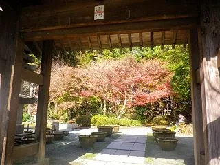 *18.12.05 ＃鎌倉 「 ＃覚園寺…