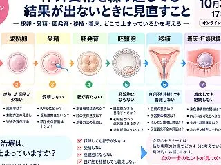 体外受精で結果が出ないとき、次に何を見直…