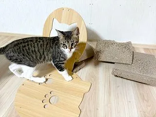 夜のバイト