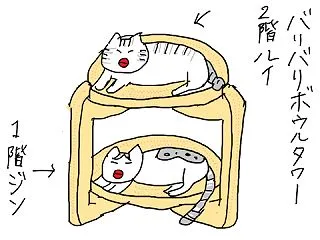 兄弟愛 あっけなく終了