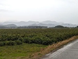 『まるでこたつあったかウォーマー』頂きま…