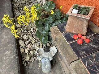 寒くても色々