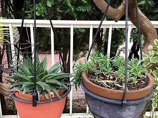 秋の雨を浴び過ぎたかも・・・