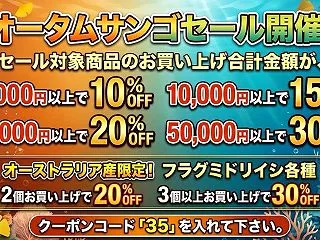 海水魚・サンゴ 本日よりオータムセール開…