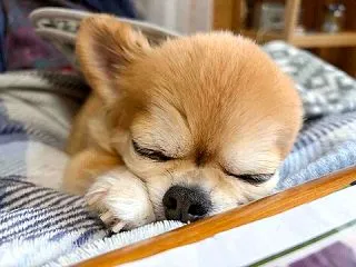 いつも怒ってるわけじゃないもん