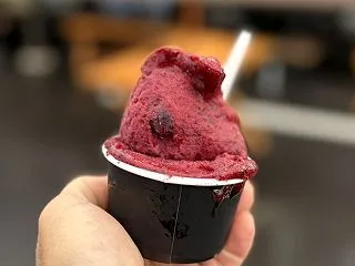 ジェラソーレの中山ジェラートです!