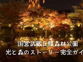 光と森のストーリーを120%楽しむ！国営…