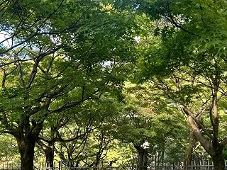 東福寺