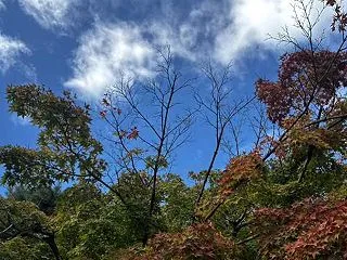 とても大切な事をお伝えします♪