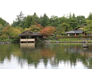 秋の昭和記念公園