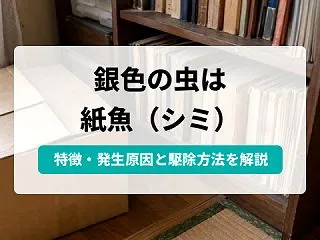 紙魚（シミ）はどんな虫？どこから来るのか…