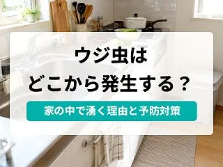ウジ虫はどこから発生する？原因と駆除方法…
