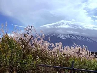 ☆ちょっとミニ旅〜山梨県