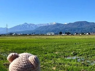 弱くていいんです（・∀・）
