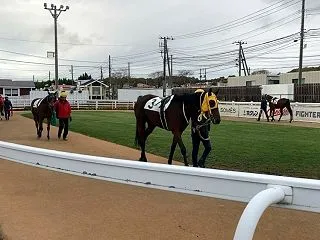 2026.10.30 門別競馬場