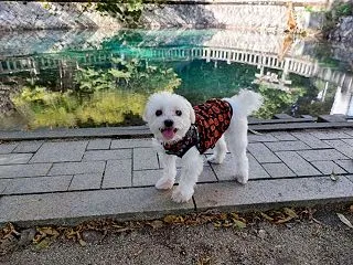 ドライブ