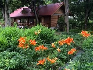 【50周年を迎えた広島市植物公園へ】