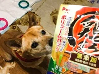 日向ぼっこしたい