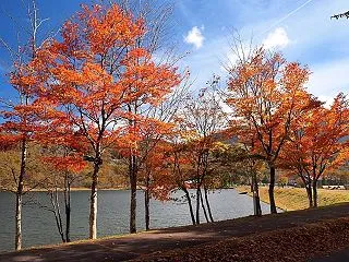 ★女神湖の紅葉①（立科町）2026