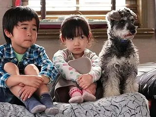 マルモのおきて