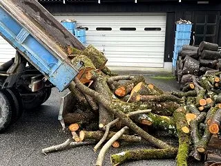 【薪活】サクラの幹原木が2トンダンプで到…
