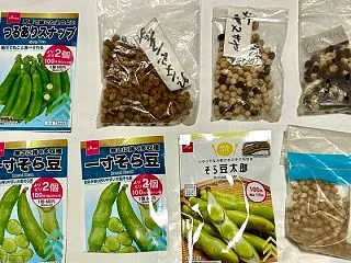 10月下旬「エンドウ・そら豆類」の種をポ…