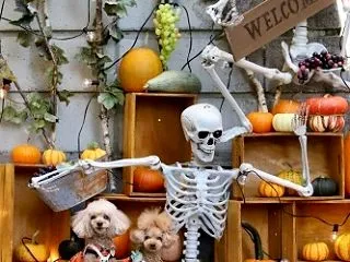一日早いけどｗｗ☆Happy Hallo…