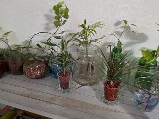 二つと二つ