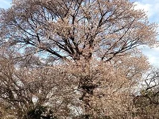 結果が大事なのは、共通テスト本番！
